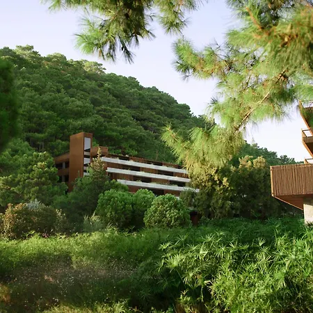 Maxx Royal 5* Kemer